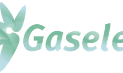logo gaselec es
